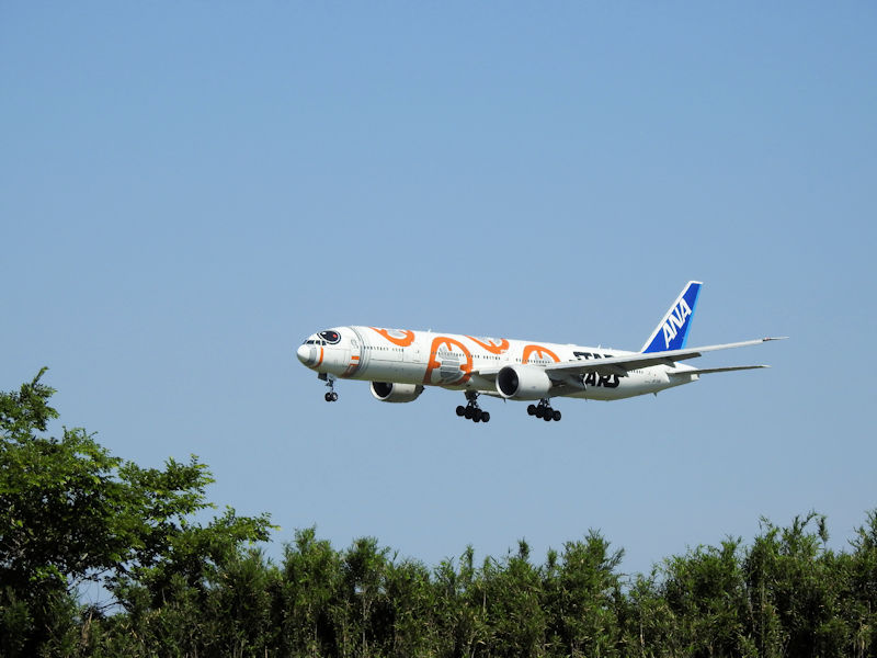 Airplane Model