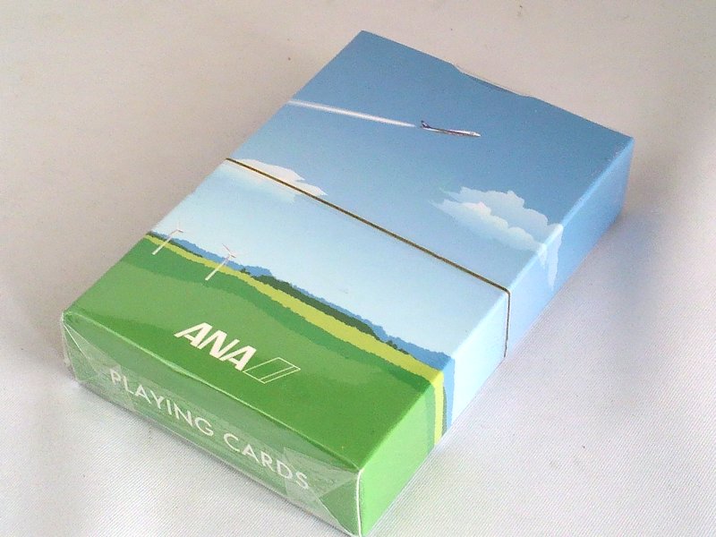 Airplane Model